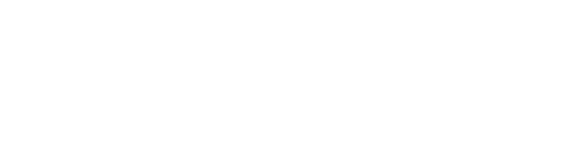 Vivo Energy